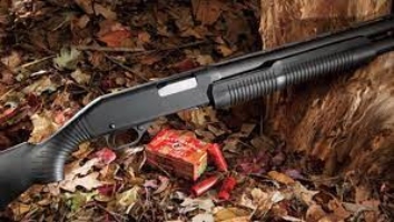 Stevens offers 20-Gauge Pump Shotguns to Field and Security